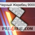 Черный Жеребец 9000 17